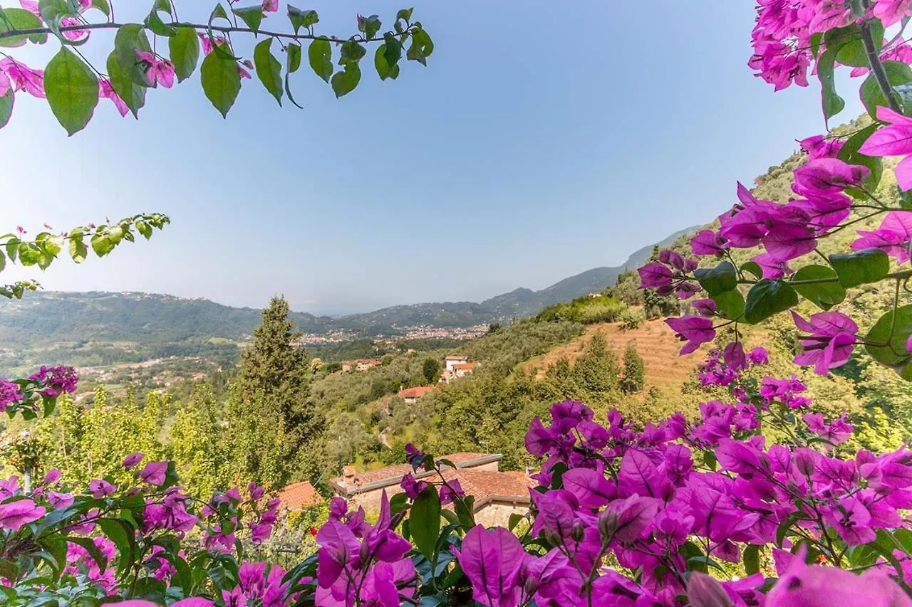 Villa Romantica Sea View  Camaiore