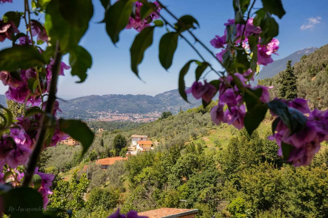 Villa Romantica Sea View 0*, Camaiore